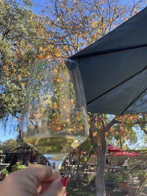 Glass of viognier on the lovely patio by the persimmon tree.