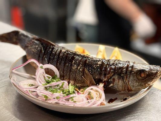 Baked Trout