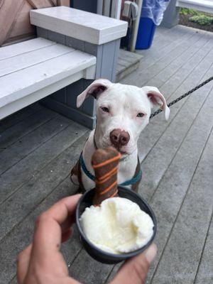 Pup cup w/ treat for the pups for $2.50