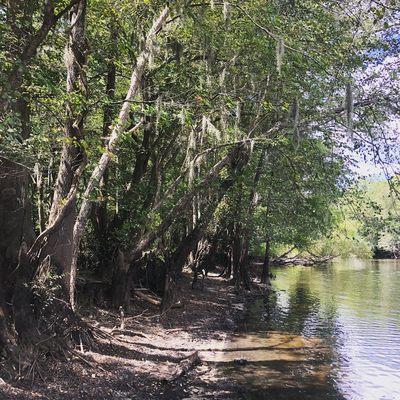 Edisto River access