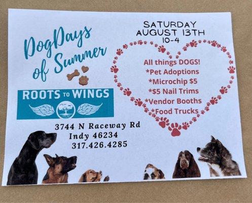 Dog Days of Summer event