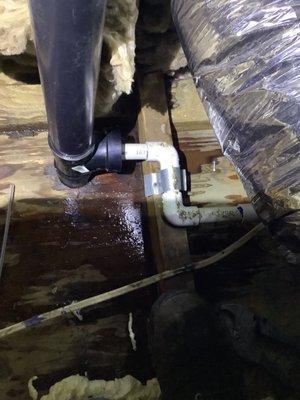 Disaster wet area in attic due to pipe connection not sealed properly.