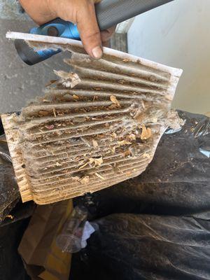 A/C not cold and smells funny in car? Cabin filters often overlooked and can be common cause when not changed regularly