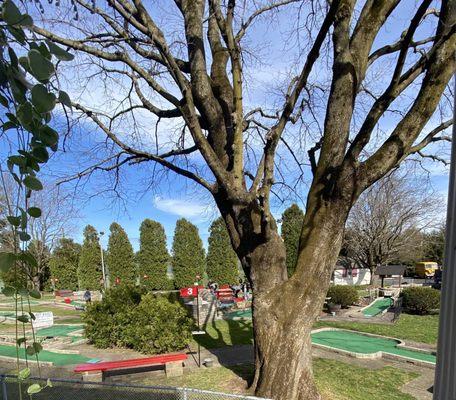 Miniature golf course