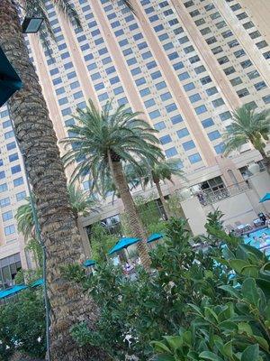 Hilton grand vacation's Las Vegas by the pool