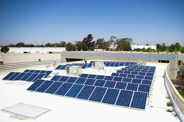 Our solar panels - enjoying another beautiful San Diego day (and creating electricity at the same time)