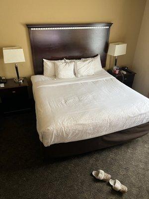 Nice, clean king size bed