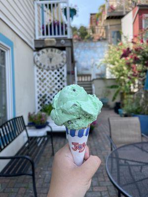 Mint chocolate chip icecream