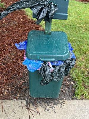 Dog waste can in front of building 400