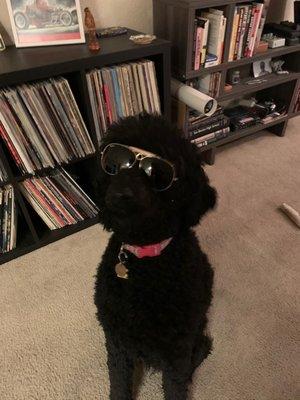 Poodle (lead singer of ELO)