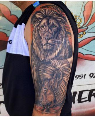 Lions done by Seth