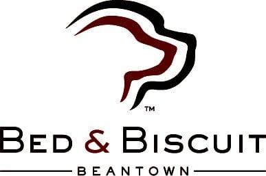 Beantown Bed & Biscuit Dog Daycare