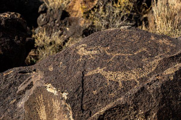 Petroglyph National Monument