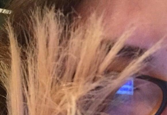 A close-up of the damage to my hair from being irresponsibly double bleached. The ends are so broken I can't run my fingers through them.