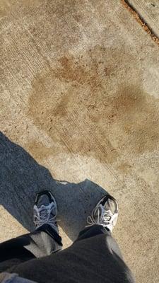 Oil stains on my driveway left by their leaking bucket truck.