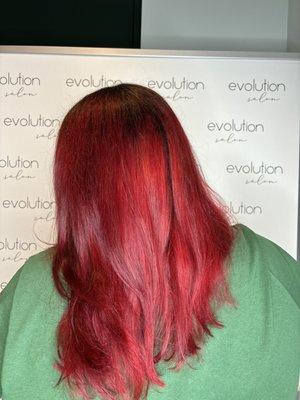 Hair by Abigail at Evolution