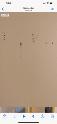 Sample of holes/nails left in walls. Again, too many to count.