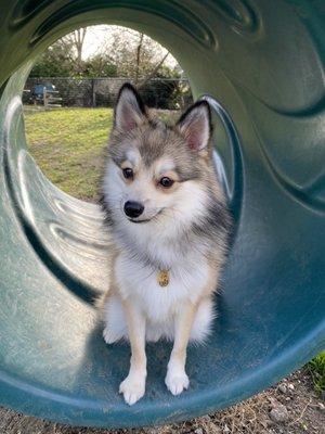 Playing in the tube