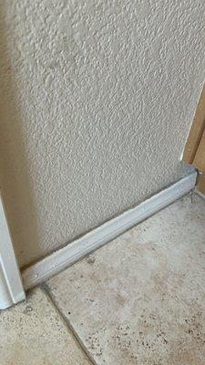 Baseboards - dirt and pet hair stuck on these baseboards.