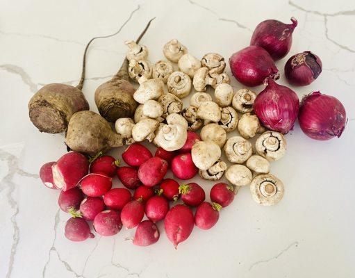 Veggies - mushrooms, beets, red radish and red onions