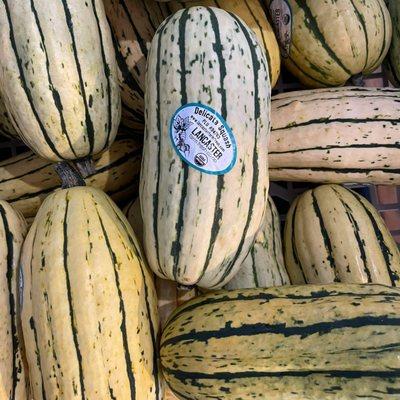 Fresh organic Delicata squash