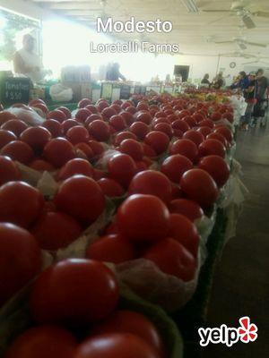 Huge ripe tomatoes