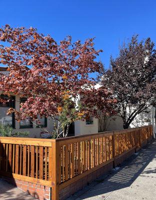 Wooden fence - complimentary to design of the home and gives a beautiful curb appeal.  New landscape is visible and gets enough sun.