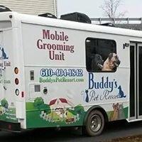 Grooming Van