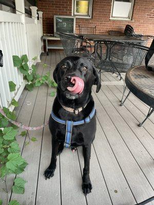 Otis's first visit to Hykel's 8/15/24