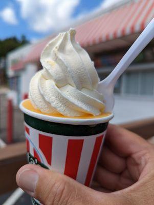 Small Mango Gelati