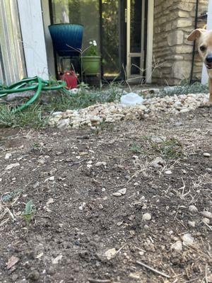 Sloppy French drain install with plug a trip hazard