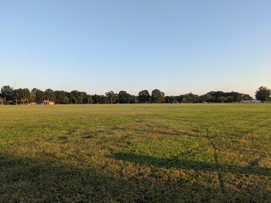 Snow Hinton Park, near sunset