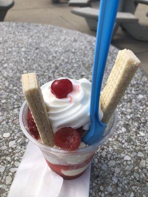 Ritter's Frozen Custard