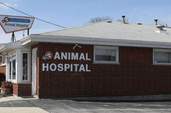 Hillchester Animal Hospital