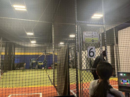 At the cages