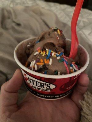 Bruster's Real Ice Cream