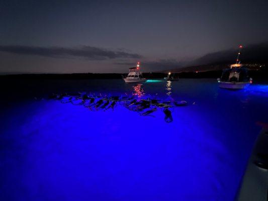 Night time snorkeling with Manta Rays!