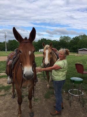 Our boys!  Jo Jo the mule and KTM the horse.  Their goal in life is to be loved on.