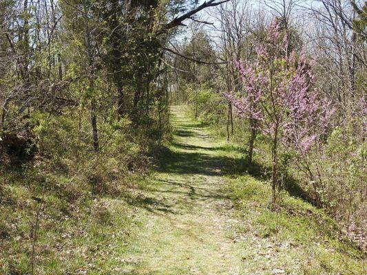 Hiking Trail