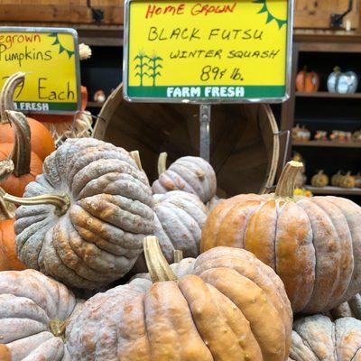 Black futsu winter squash