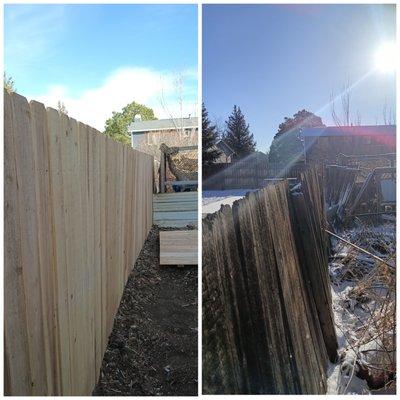 Before/After, new fence