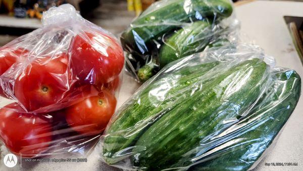 Baby cucumbers + tomatoes