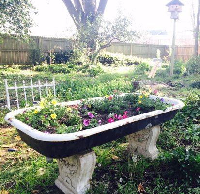 1950's industrial Cast iron wash sink turned beautiful planter!!