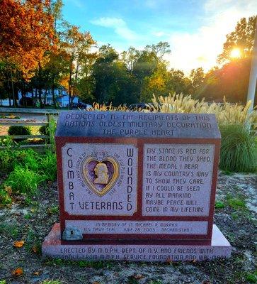 Dedicated to the recipients of this nation's oldest military decoration "THE PURPLE  HEART".