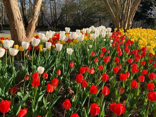 State Botanical Garden of Georgia