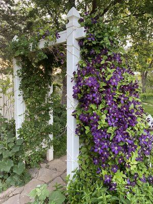 Entrance for Groom