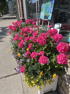 Gorgeous flowers in the planter in front of the store