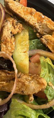 A spider in my Buffalo Chicken Salad!