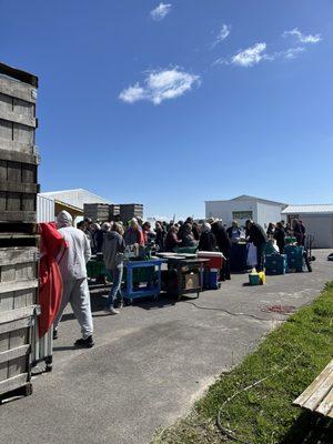 Other booths in the parking lot