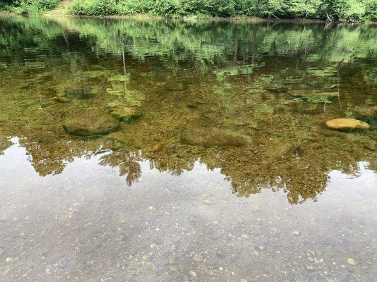 Decently clear river.